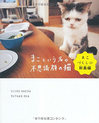 『まこという名の不思議顔の猫』豪華な総集編！