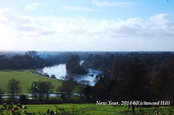 DSC_0964 DSC_0964