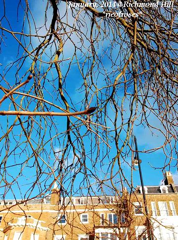 DSC_1095 DSC_1095