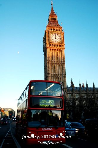 DSC_1109 DSC_1109