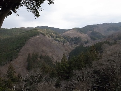 R0039651 R0039651