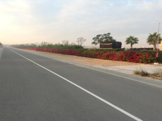 20140214-095407.jpg