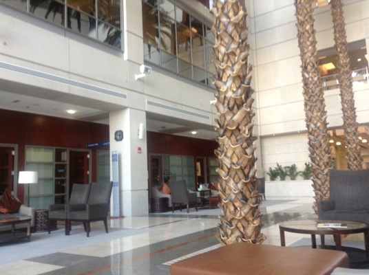 20140227-162306.jpg