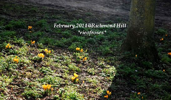 DSC_1453 DSC_1453