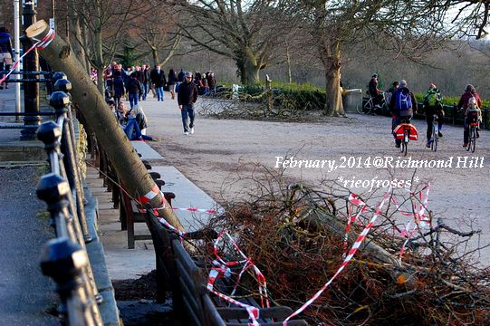 DSC_1847 DSC_1847