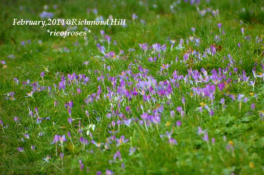 DSC_1848 DSC_1848