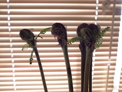 R0040422 R0040422
