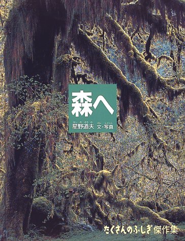 奇跡のような朝と出会う、星野道夫の『森へ』