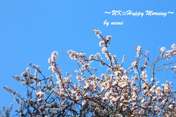 2014-03-31 2014-03-31