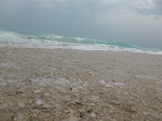 20140324-071558.jpg