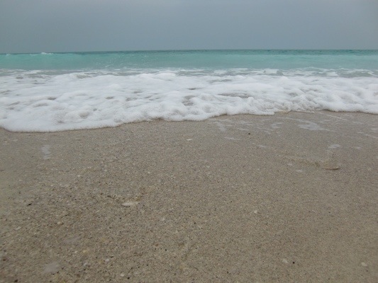 20140324-071843.jpg