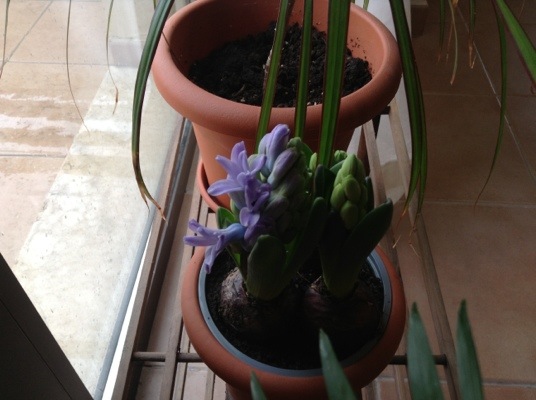 20140326-094207.jpg