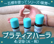 20140429AYA