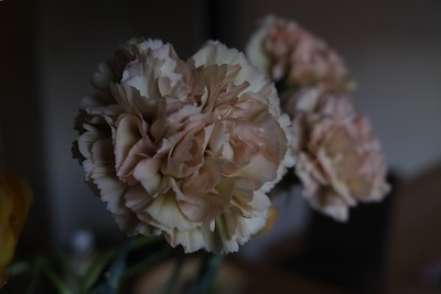 2014_0328AR