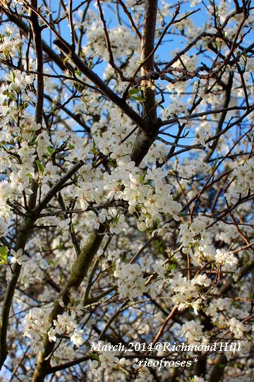 DSC_1978 DSC_1978