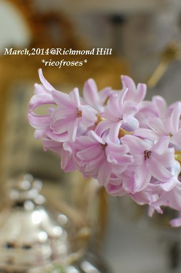DSC_2202 DSC_2202