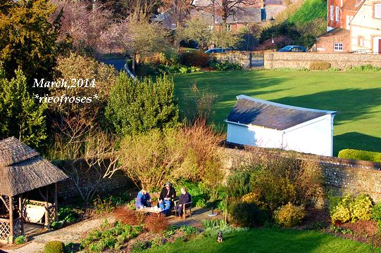 DSC_2261 DSC_2261