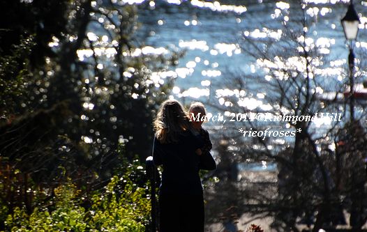 DSC_2311 DSC_2311