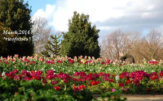 DSC_2687 DSC_2687