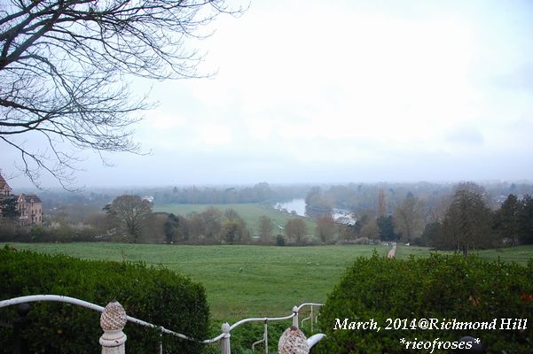 DSC_2714 DSC_2714