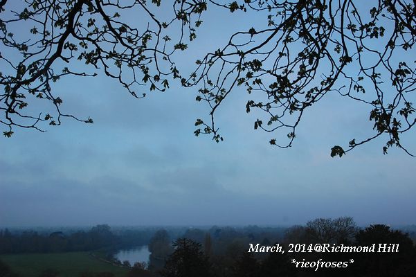 DSC_2721 DSC_2721