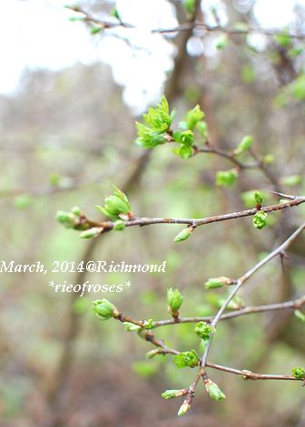 DSC_2749 DSC_2749