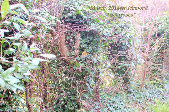 DSC_2757 DSC_2757