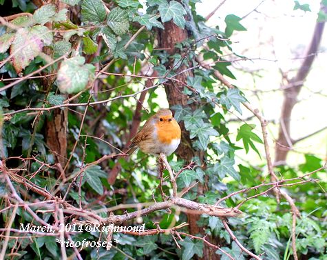 DSC_2764 DSC_2764