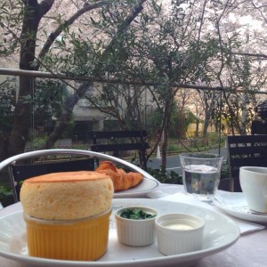 [六本木]満開の桜を眺めながら美味しい朝ごはん@ローダーデール【vol.17】
