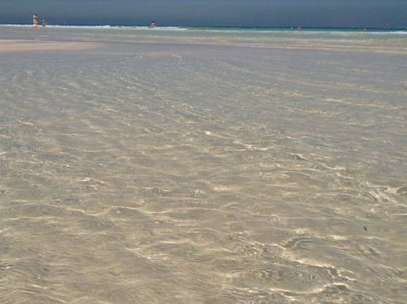 20140408-062015.jpg