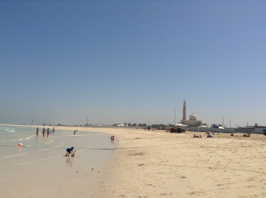 20140408-062359.jpg