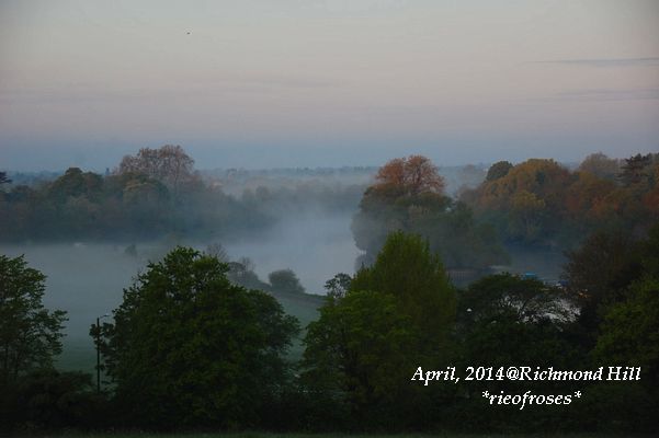 DSC_3948 DSC_3948