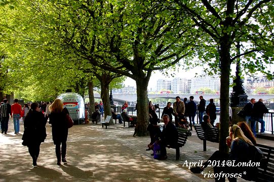 DSC_4073 DSC_4073