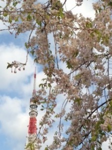 写真 (32)