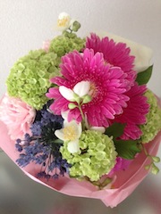 ピンク花 ピンク花
