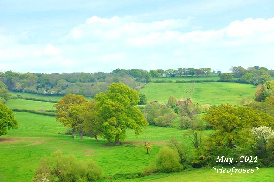CSC_4251 CSC_4251
