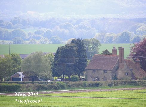 DSC_4226 DSC_4226
