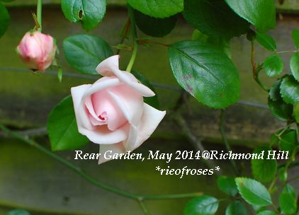DSC_4609 DSC_4609