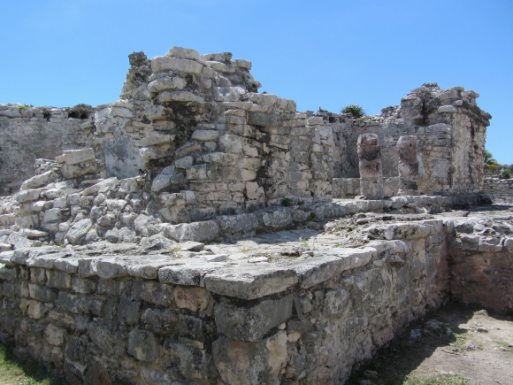 IMG_7487Cancun 8