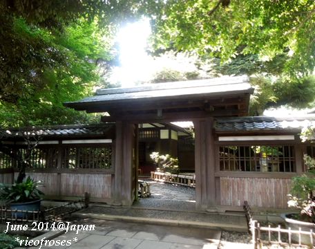 DSCN6629 DSCN6629