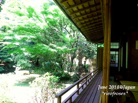 DSCN6653 DSCN6653