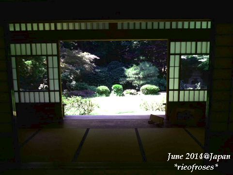 DSCN6659 DSCN6659
