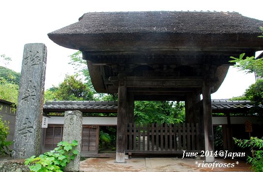 DSC_4892 DSC_4892