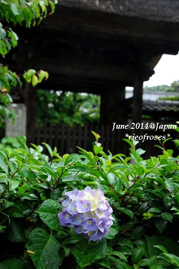 DSC_4895 DSC_4895