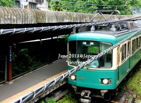 DSC_4898 DSC_4898