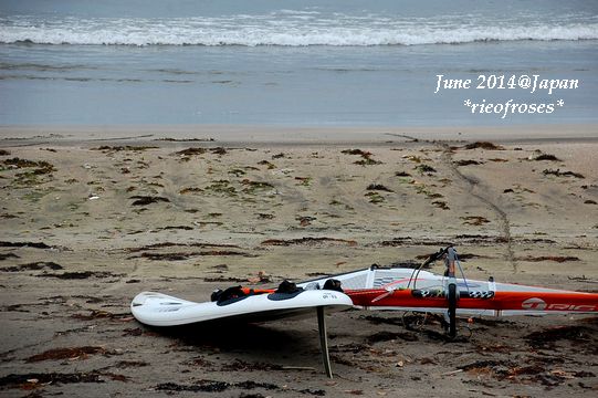 DSC_4922 DSC_4922