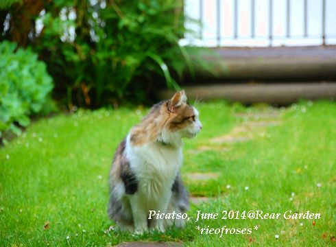 DSC_5008 DSC_5008