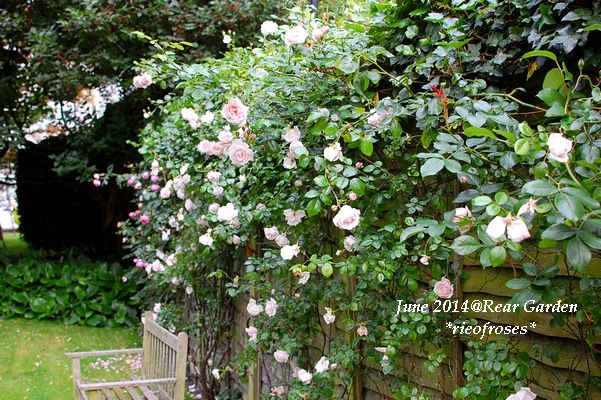 DSC_5024 DSC_5024