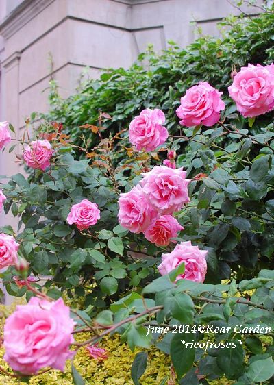 DSC_5026 DSC_5026