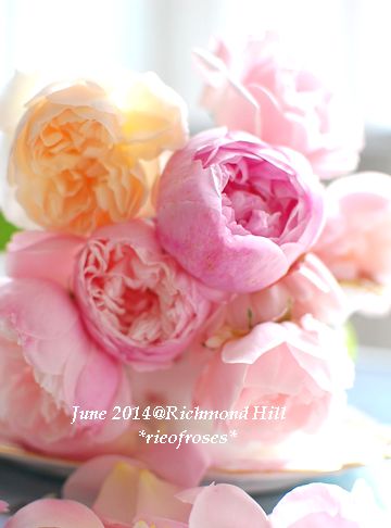DSC_5027 DSC_5027